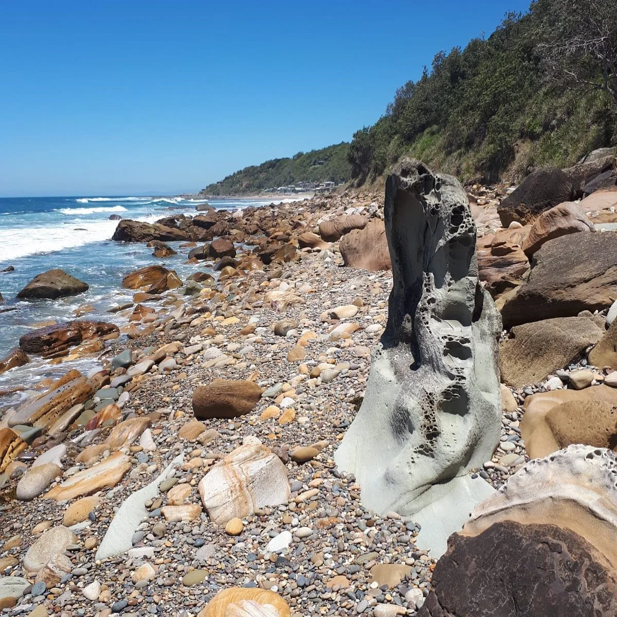 Hello everyone, just wanted to share a picture of our walk along the beautiful Australian coast